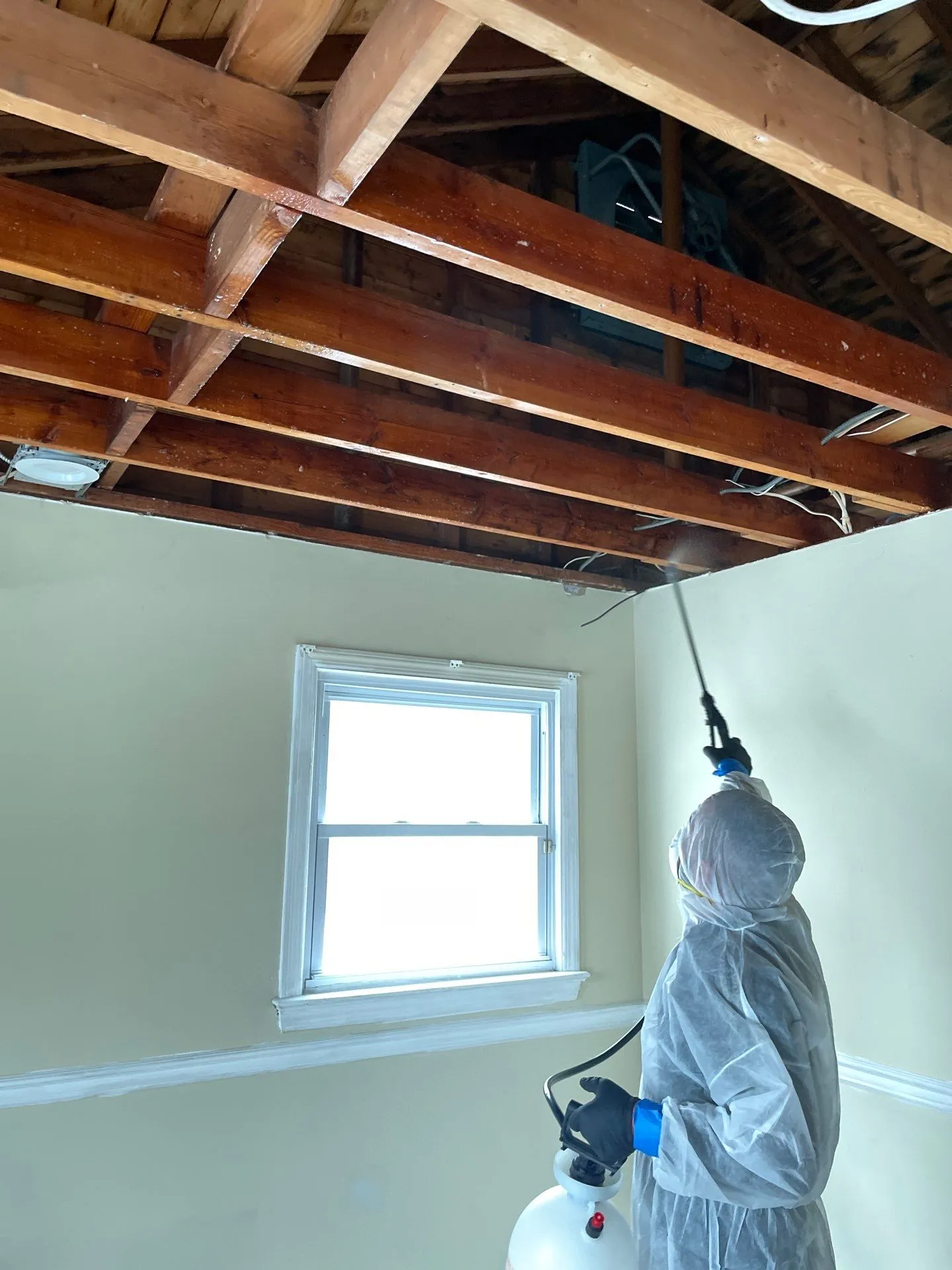 Edd Water Damage photo